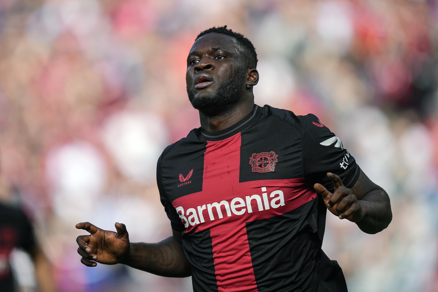 Bayer sales leverkusen strip